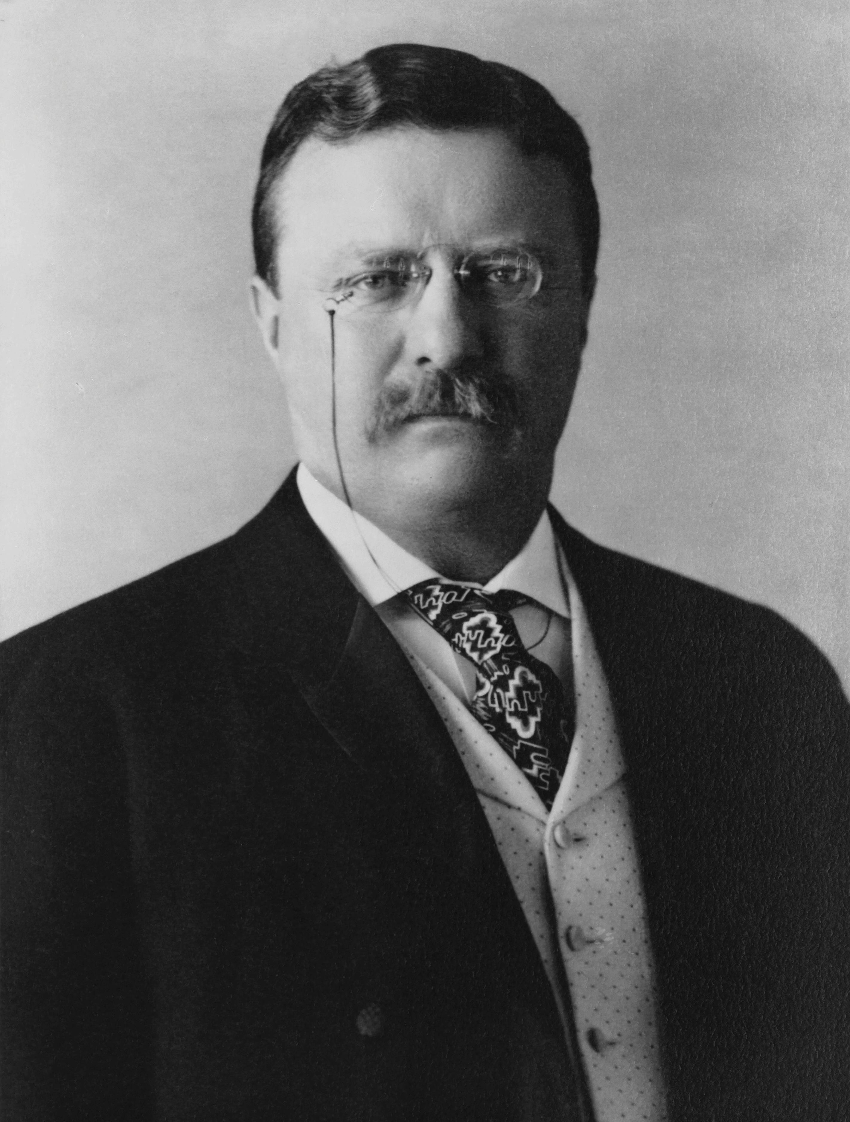 Theodore Roosevelt Portrait